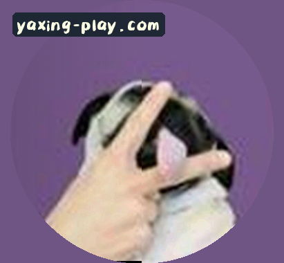 吴磊
